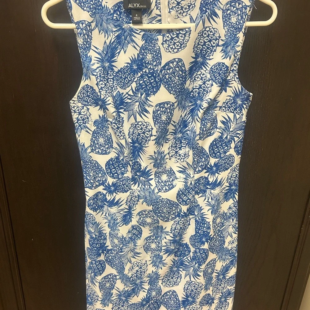 Blue and White Sleeveless pineapple Dress - Picture 2 of 7